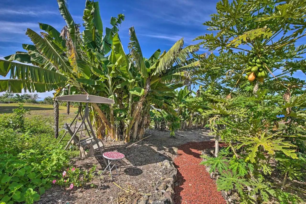 Tranquility Guest House Holualoa Exterior photo